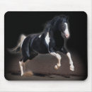 Recherche de cheval occidental standard tapis souris Photographie