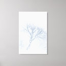 Recherche de arbre noir et blanc posters toiles Nature