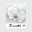 Recherche de phalaenopsis autocollants Blanc