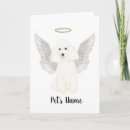 Recherche de caniche blanc vœux cartes Dog