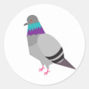 Recherche de pigeons autocollants Animaux