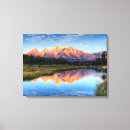 Recherche de beauté art Réflexion