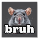 Recherche de rattie maison deco Rat mignon