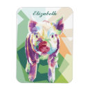 Recherche de cochon magnets Coloré