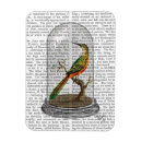 Recherche de oiseaux magnets Steampunk