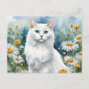 Recherche de chat blanc cartes postales Élégant
