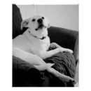 Recherche de monochromatique posters Gris