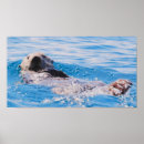 Recherche de velu posters Sauvage