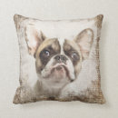 Recherche de français bouledogue coussins Aquarelle