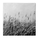 Recherche de dunes carreaux Paysages