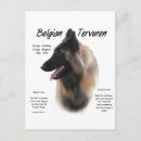 Recherche de belges cartes postales Chien