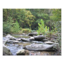 Recherche de plantes vertes posters Arbres