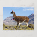 Recherche de décoré cartes postales Ie
