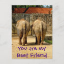 Recherche de éléphants drôles cartes postales Adorable