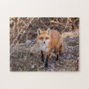 Recherche de red fox puzzles Sauvage
