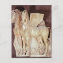 Recherche de cheval harnais posters Ailes