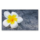 Recherche de frangipani cartes visite Blanc