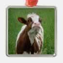 Recherche de vache laitière ornements Animal