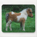 Recherche de étalon électronique Poney