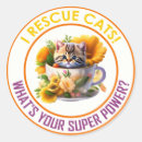 Recherche de chats colorés autocollants Toute personne