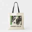 Recherche de border collie accessoires Animaux
