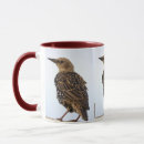 Recherche de européen tasses Oiseaux