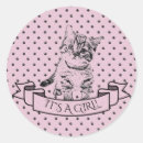 Recherche de chat pourpre Violet