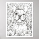 Recherche de sympa posters Dog