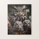 Recherche de owl puzzles Animaux