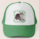 Recherche de poils casquettes Chats