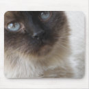 Recherche de oeil bleu tapis souris Minou