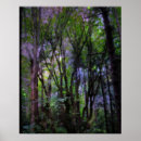 Recherche de fairy photographie Arbres