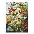 Recherche de illustrations scientifiques posters Kunstformen der natur