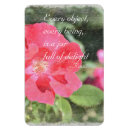 Recherche de rumi citations magnets Inspiré