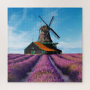 Recherche de lavande puzzles Champs