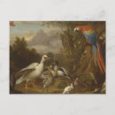 Recherche de canards autres Paysage