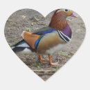 Recherche de oiseaux colorés autocollants Toute personne