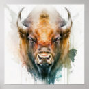 Recherche de buffles posters Nature