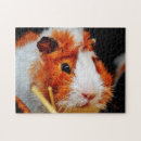 Recherche de cobayes puzzles Animal de compagnie
