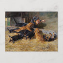 Recherche de stable cartes postales Animal
