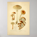 Recherche de variété art Vintage