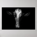 Recherche de tête de vache posters Agriculture