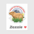 Recherche de animal capybara autocollants Amoureux de capybara