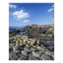 Recherche de giant posters Nature