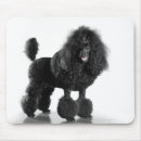 Recherche de complètement tapis souris Chien