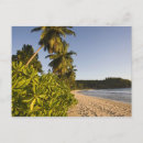 Recherche de tropical island cartes postales Sand