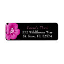 Recherche de fuschia cartes postales Rose