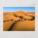 Recherche de dunes cartes postales Maroc