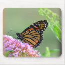 Recherche de monarque tapis souris Jardin