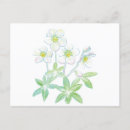 Recherche de le niger cartes postales Floral